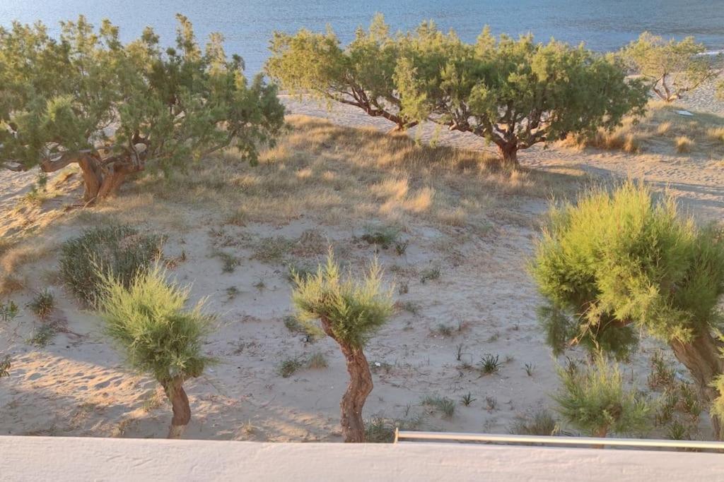Villa Aegean Dream House Kamares  Esterno foto